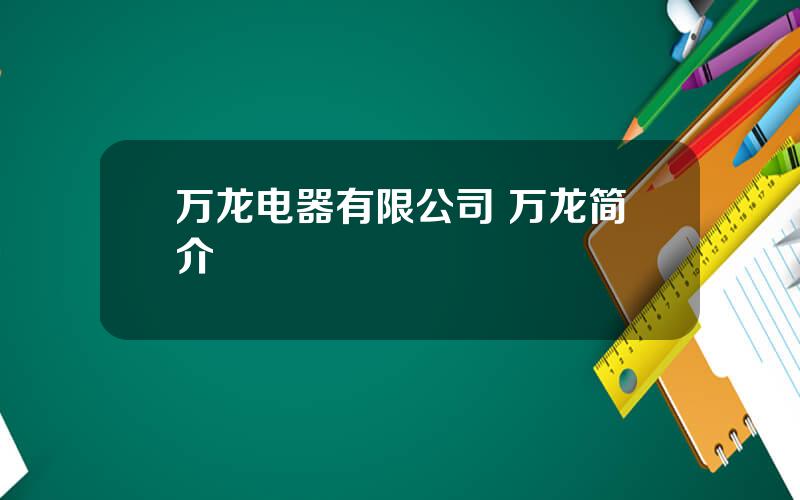 万龙电器有限公司 万龙简介
